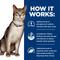 Show in main carousel: Hill's Prescription Diet k/d Kidney Care Starter Kit Variety Pack Cat Food, 5.25-oz bag slide 5 of 11