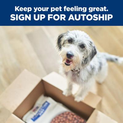 Show full view: Hill's Prescription Diet k/d + j/d Kidney Care + Mobility Care with Chicken & Vegetable Stew Wet Dog Food, 12.5-oz can, case of 12 slide 9 of 11