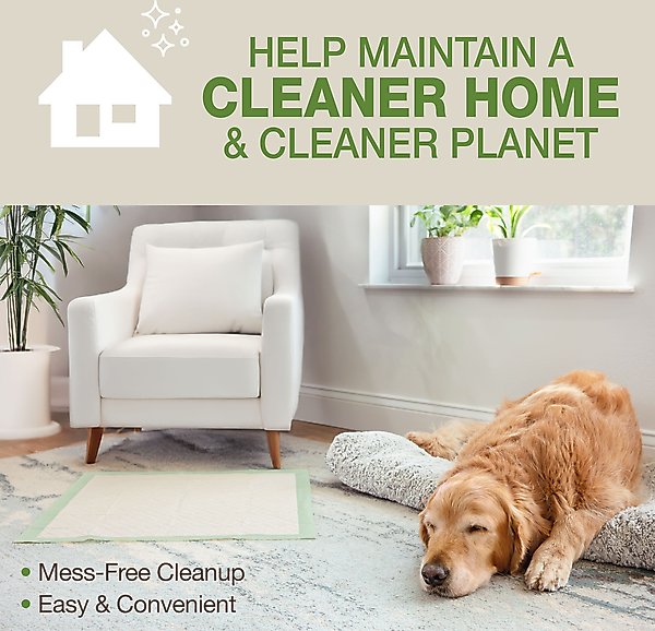 Show full view: Four Paws Eco Bamboo Dog Pee Pads, 22 x 23-in, 32 count slide 8 of 10