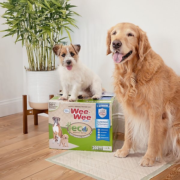 Show full view: Four Paws Eco Bamboo Dog Pee Pads, 22 x 23-in, 32 count slide 6 of 10
