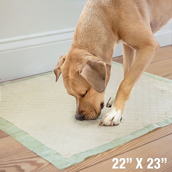Show full view: Four Paws Eco Bamboo Dog Pee Pads, 22 x 23-in, 32 count slide 3 of 10