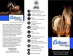 Bar ALE Esteem Complete Senior Pellet Horse Feed, 50-lb bag slide 2 of 5