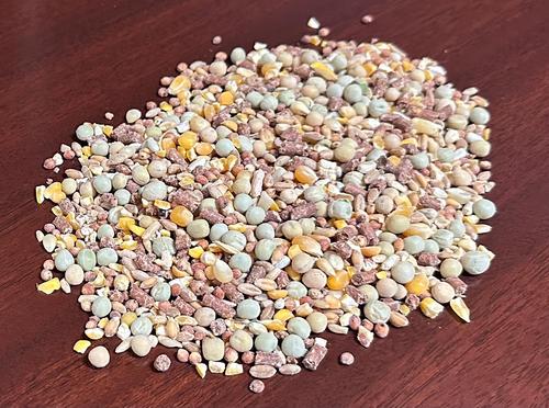 Show full view: Bar ALE Top Gun 16% with Cracked Corn Pigeon Food, 50-lb bag slide 2 of 3