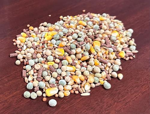 Show full view: Bar ALE Top Gun 16% with Whole Corn Pigeon Food, 50-lb bag slide 2 of 3