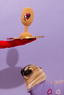 Show full view: maxbone Love Is Blind Plush Dog Toy slide 2 of 2