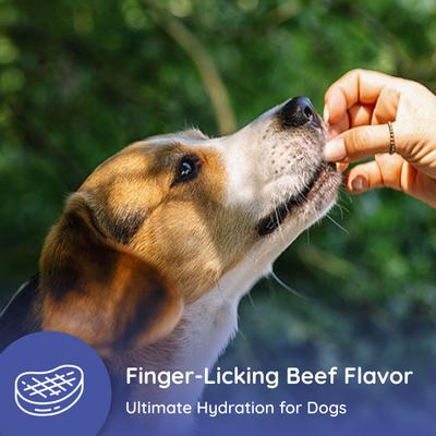 Show full view: Petralyte Beef Flavored Electrolyte & Joint Supplement for Dogs, 16 count slide 7 of 8