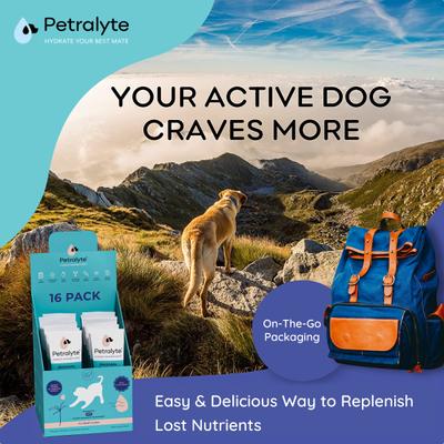 Show full view: Petralyte Beef Flavored Electrolyte & Joint Supplement for Dogs, 16 count slide 6 of 8