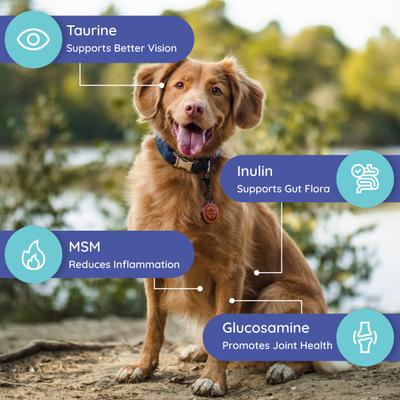 Show full view: Petralyte Salmon Flavored Electrolyte & Joint Supplement for Dogs, 16 count slide 8 of 8