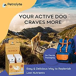 Petralyte Chicken Flavored Electrolyte & Joint Supplement for Dogs, 16 count slide 2 of 7