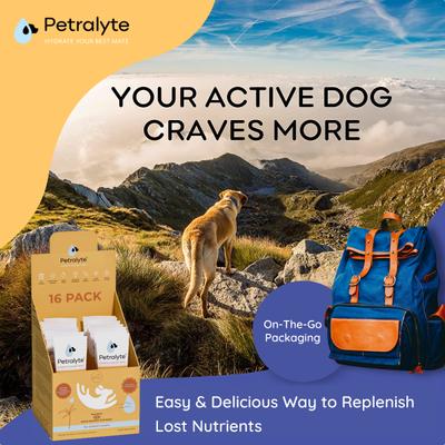 Show full view: Petralyte Chicken Flavored Electrolyte & Joint Supplement for Dogs, 16 count slide 6 of 8