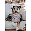 Show in main carousel: Sassy Woof BARBIE Closet Goals Dog Bandana, Purple, Small slide 6 of 7