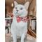 Show in main carousel: Sassy Woof Hello Kitty Red Classic Bowtie Cat Collar Accessory, Red slide 4 of 6