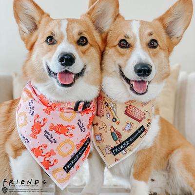 Show full view: Sassy Woof Friends Lobster Dog Bandana, Pink, Small slide 6 of 6