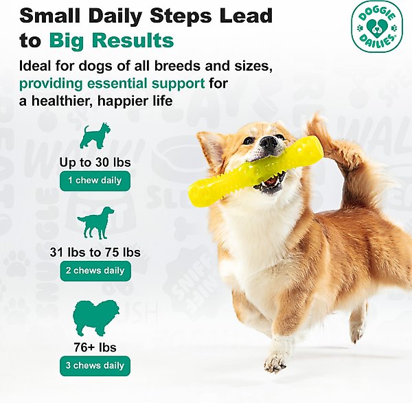 Show full view: Doggie Dailies Advanced Smoked Duck Flavored Soft Chew Hip & Joint Supplement for Senior Dogs, 120 count slide 5 of 10