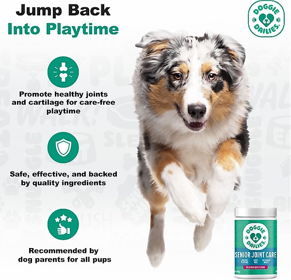 Show full view: Doggie Dailies Advanced Smoked Duck Flavored Soft Chew Hip & Joint Supplement for Senior Dogs, 120 count slide 7 of 10