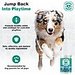 Show in main carousel: Doggie Dailies Advanced Smoked Duck Flavored Soft Chew Hip & Joint Supplement for Senior Dogs, 120 count slide 7 of 10