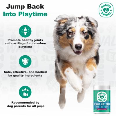 Show full view: Doggie Dailies Advanced Smoked Duck Flavored Soft Chew Hip & Joint Supplement for Senior Dogs, 120 count slide 8 of 11