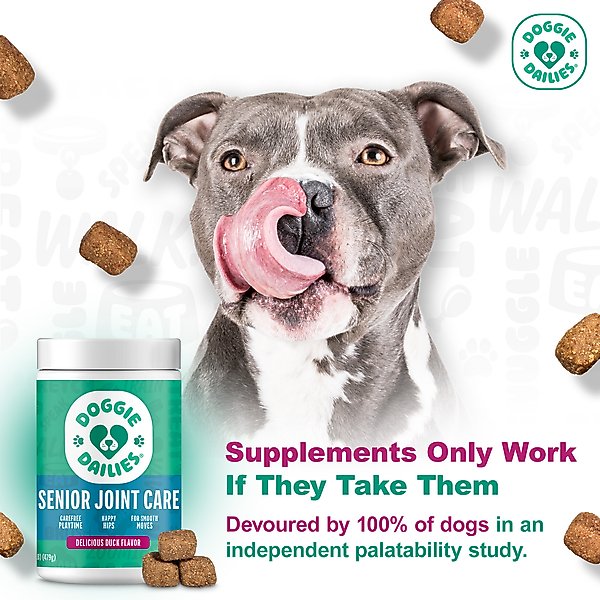 Show full view: Doggie Dailies Advanced Smoked Duck Flavored Soft Chew Hip & Joint Supplement for Senior Dogs, 120 count slide 4 of 10