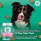 Show in main carousel: Doggie Dailies Salmon Flavored Skin & Coat Dog Supplements, 225 count slide 5 of 11
