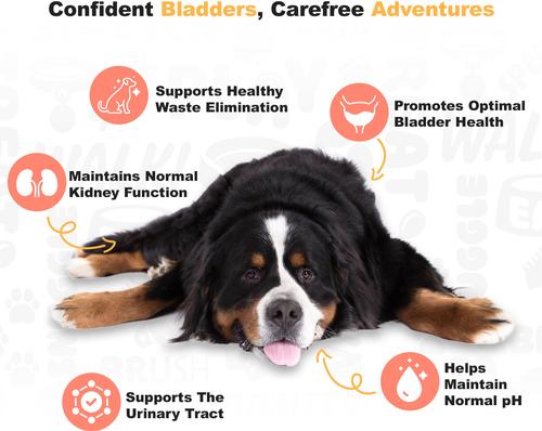 Show full view: Doggie Dailies Chicken Flavored Cranberry Urinary Support Dog Supplement, 225 count slide 5 of 10