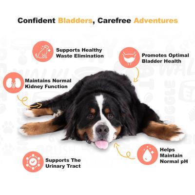 Show full view: Doggie Dailies Chicken Flavored Cranberry Urinary Support Dog Supplement, 225 count slide 6 of 11