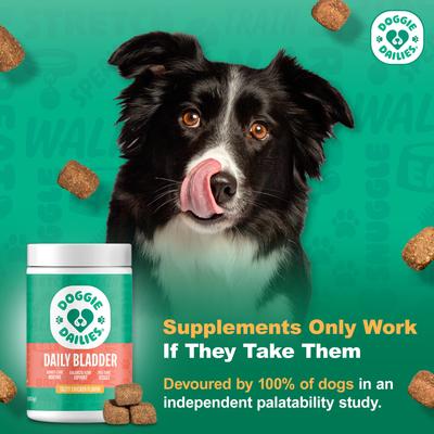 Show full view: Doggie Dailies Chicken Flavored Cranberry Urinary Support Dog Supplement, 225 count slide 4 of 10