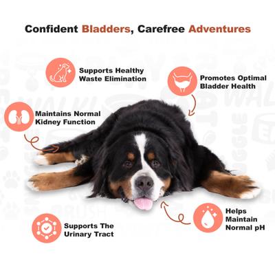 Show full view: Doggie Dailies Bacon Flavored Cranberry Urinary Support Dog Supplement, 225 count slide 6 of 11