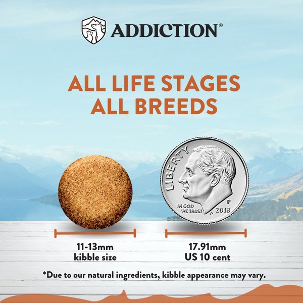 Show full view: Addiction Grain-Free Wild Kangaroo & Apples Limited Ingredient Allergy-Friendly Dry Dog Food, 4-lb bag slide 8 of 11