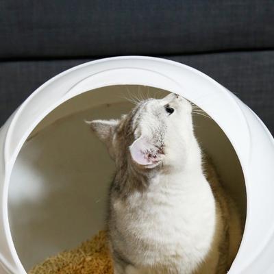 Show full view: Happy & Polly Space Capsule Semi-Enclosed Cat Litter Box with Scoop slide 3 of 9