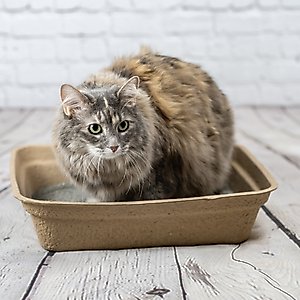 Luli & Cat Disposable Litter Boxes, Brown, Large, 8 count