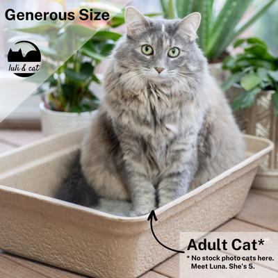 Show full view: Luli & Cat Disposable Litter Boxes, Brown, Jumbo, 4 count slide 5 of 9