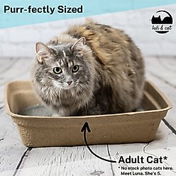 Luli & Cat Disposable Litter Boxes, Brown, Large, 4 count slide 2 of 7