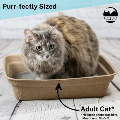 Show full view: Luli & Cat Disposable Litter Boxes, Brown, Large, 4 count slide 6 of 9