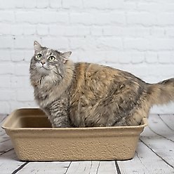 Luli & Cat Disposable Litter Boxes, Brown, Jumbo, 4 count