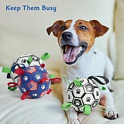 Nocciola Soccer Ball with Straps Dog Toy, Blue, Medium slide 2 of 6