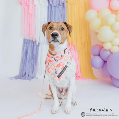 Show full view: Sassy Woof Friends Lobster Dog Bandana, Pink, Small slide 5 of 6