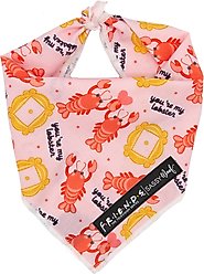 Sassy Woof Friends Lobster Dog Bandana, Pink, Small