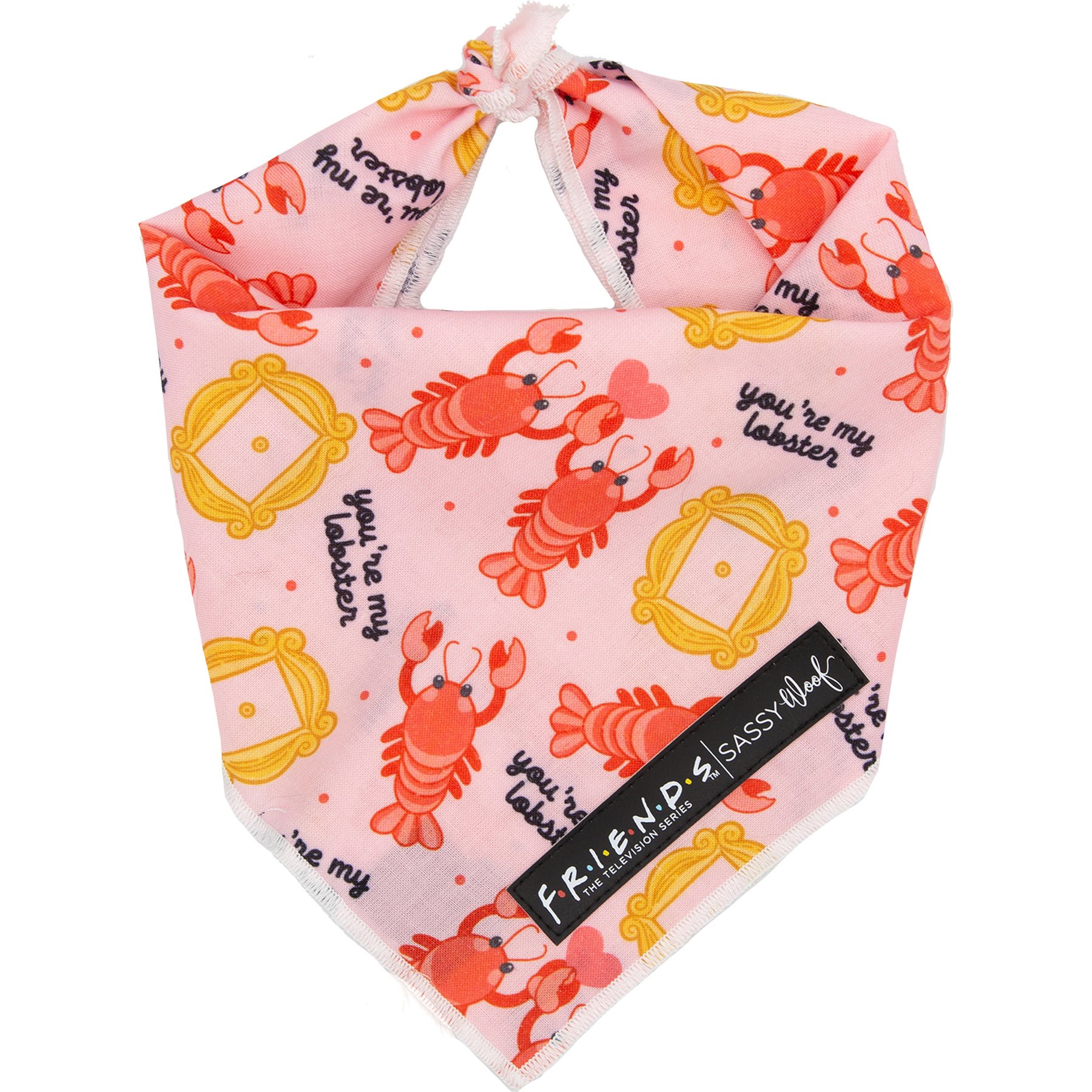 Sassy Woof Friends Lobster Dog Bandana, Pink, Small