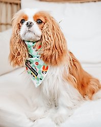 Sassy Woof The Powerpuff Girls Dog Bandana, Green, Large slide 2 of 6