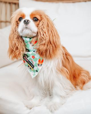 Show full view: Sassy Woof The Powerpuff Girls Dog Bandana, Green, Small slide 6 of 6