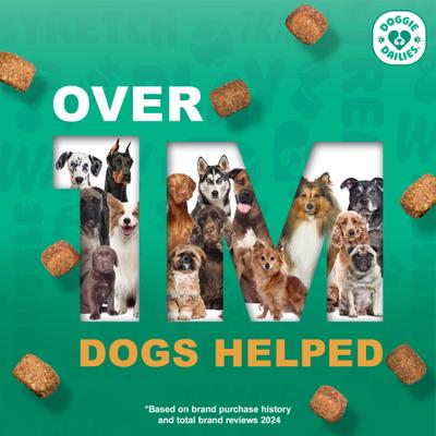 Show full view: Doggie Dailies Cognitive Puppy Chews Vitamins with DHA, Selenium, Organic Ashwagandha & Antioxidants to Support Brain Health, Nervous System Function & Promote Calmness, 120 count slide 9 of 11