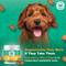 Show in main carousel: Doggie Dailies Cognitive Puppy Chews Vitamins with DHA, Selenium, Organic Ashwagandha & Antioxidants to Support Brain Health, Nervous System Function & Promote Calmness, 120 count slide 5 of 11