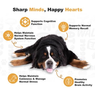 Show full view: Doggie Dailies Cognitive Puppy Chews Vitamins with DHA, Selenium, Organic Ashwagandha & Antioxidants to Support Brain Health, Nervous System Function & Promote Calmness, 120 count slide 6 of 11