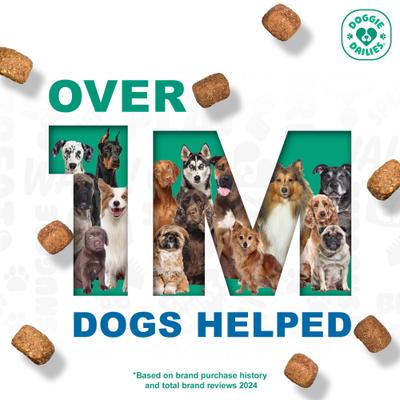 Show full view: Doggie Dailies Salmon Omega Chews Dog Supplement, 1-lb bottle slide 9 of 11