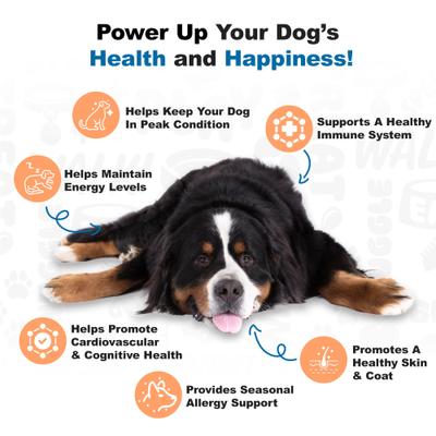 Show full view: Doggie Dailies Salmon Omega Chews Dog Supplement, 1-lb bottle slide 6 of 11