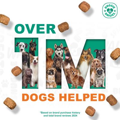 Show full view: Doggie Dailies Advanced Probiotics Pumpkin Flavor Soft Chew Dog Supplement, 225 count slide 9 of 12