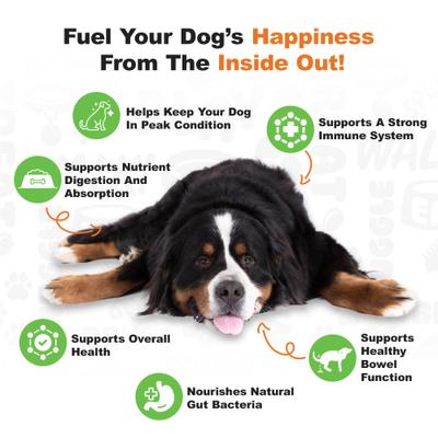 Show full view: Doggie Dailies Advanced Probiotics Pumpkin Flavor Soft Chew Dog Supplement, 225 count slide 6 of 12