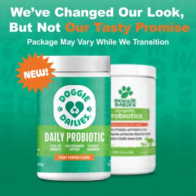 Show full view: Doggie Dailies Advanced Probiotics Pumpkin Flavor Soft Chew Dog Supplement, 225 count slide 4 of 12