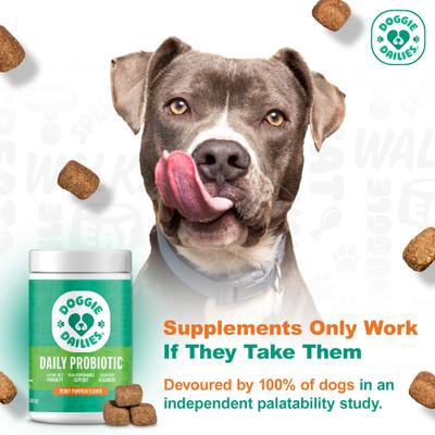 Show full view: Doggie Dailies Advanced Probiotics Pumpkin Flavor Soft Chew Dog Supplement, 225 count slide 5 of 12