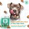 Show in main carousel: Doggie Dailies Advanced Peanut Butter flavored Soft Chews Hip & Joint Supplement for Dogs, 225 count slide 4 of 12